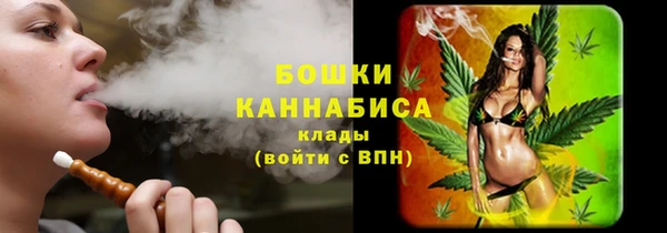 мдпв Вяземский