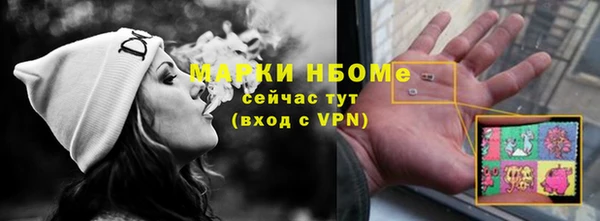 мдпв Вяземский